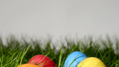 easter-eggs-in-grass