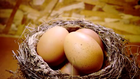 Easter-eggs-in-a-nest