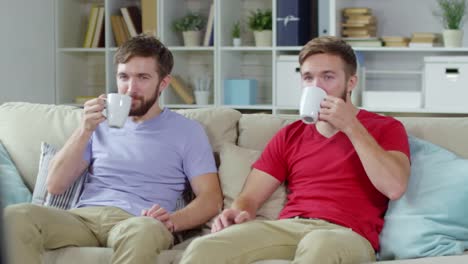 Zwillinge-trinken-Kaffee-beim-Fernsehen