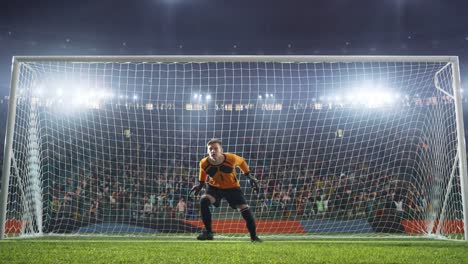 Soccer-goalkeeper-jumps-and-fails-to-catch-ball