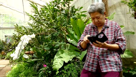 Asia-mujer-mayor-sosteniendo-el-teléfono-móvil-en-el-jardín.-mensaje-de-texto-mujeres-mayores,-con-la-aplicación-de-teléfono-inteligente-en-el-parque.-teléfono-móvil-de-uso-principal-para-conectar-con-la-red-social