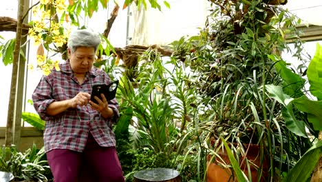 Asia-mujer-mayor-sosteniendo-el-teléfono-móvil-en-el-jardín.-mensaje-de-texto-mujeres-mayores,-con-la-aplicación-de-teléfono-inteligente-en-el-parque.-teléfono-móvil-de-uso-principal-para-conectar-con-la-red-social