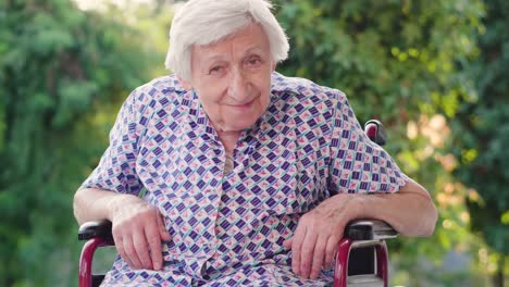 Portrait-of-an-elderly-woman.-The-elderly-person-in-the-nursing-home-and-the-green-of-the-trees-in-the-background.