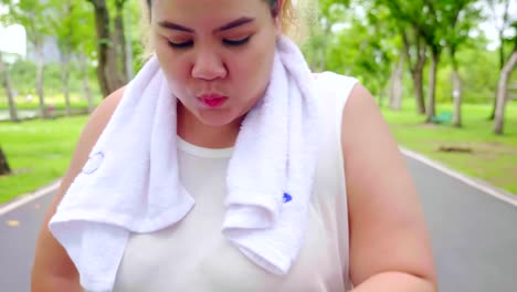 Mujer-joven-de-gran-construcción-haciendo-ejercicio-para-bajar-de-peso-en-el-parque