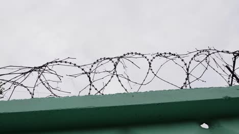 Barbed-wire-in-prison.-Jail-wire-with-barb.-Green-fence-with-barbed-wire-against-grey-sky.