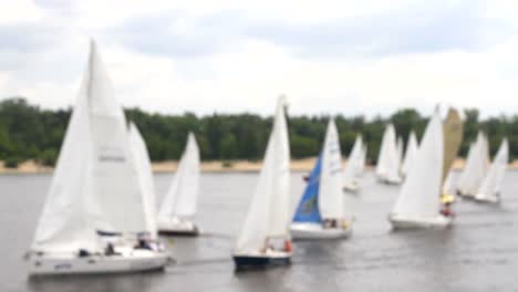 Wettbewerbe-Yacht-Regatta