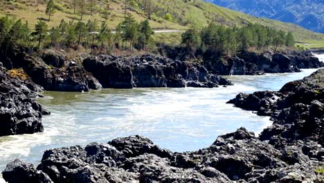 Teldykpen-rápidos-en-Altai-río-Katun-cerca-lila-amarillo,-Rusia