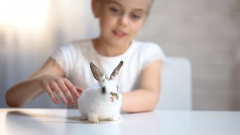 Adorable-girl-tenderly-stroking-little-fluffy-bunny-and-smiling,-child-happiness