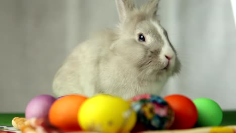 Conejito-de-pascua-con-huevos-de-Pascua