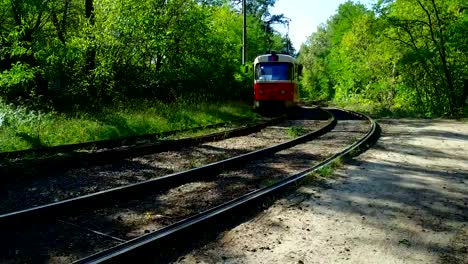 Die-Straßenbahn-fährt-auf-Schienen-mitten-im-Wald