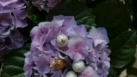 Huevos-de-Pascua-escondidos-entre-las-flores.