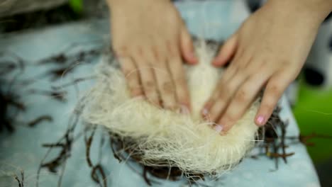 Kinder-machen-ein-Nest-für-Vögel,-nest-für-Vögel