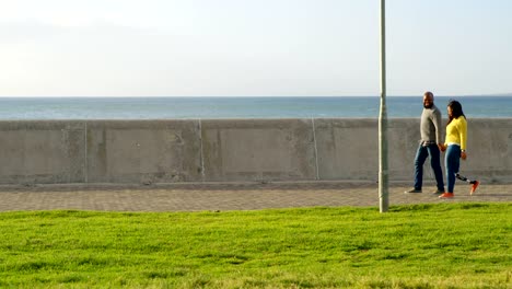 Seitenansicht-des-Paares-zu-Fuß-auf-der-Promenade-an-einem-sonnigen-Tag-4k