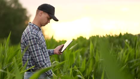 Agricultor-ingeniero-agrónomo-con-tableta-en-campo-vacío-desnudo-al-atardecer,-hombre-serio-y-seguro-de-que-utiliza-la-tecnología-moderna-en-la-planificación-y-preparación-de-la-producción-agrícola.