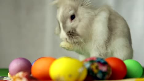 Conejito-de-pascua-con-huevos-de-Pascua