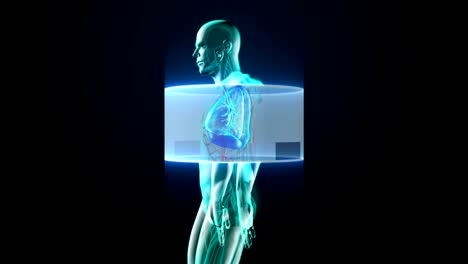 Scanning-body.-Rotating-Human-lungs,-Pulmonary-Diagnostics,-Blue-X-ray-light.