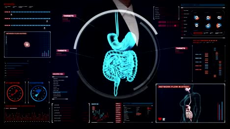 Geschäftsfrau-berühren-digitalen-Bildschirm,-Scannen-der-inneren-Organe,-Verdauungssystem.