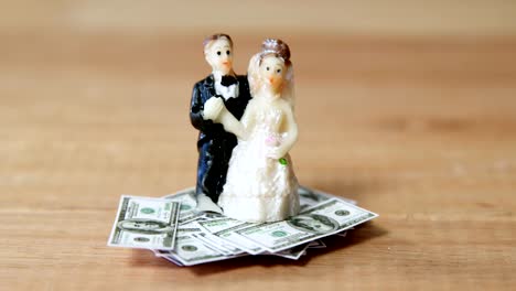 Miniature-bridal-couple-kept-on-dollars