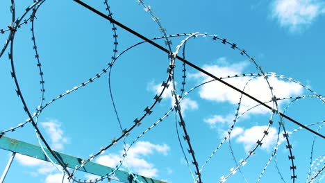 Barbed-wire-fence.-Place-of-deprivation-of-liberty.-Prison-territory.-Protection-against-escape.-Crime,-fraud.-jail-break.-Fencing-with-barbed-wire