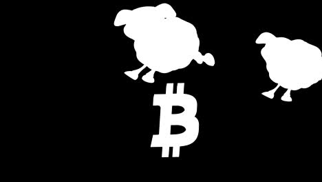 Sheep-and-bitcoin---3D-Animation