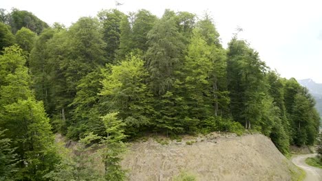 Aerial-View-of-forest-on-mountain-slope