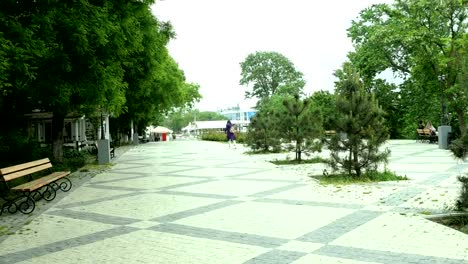 Woman-walks-along-the-alley-among-the-trees-on-the-sidewalk.