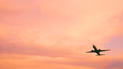 Flugzeug-starte-Sotschi-Adler