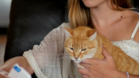 A-young-beautiful-woman-takes-a-selfie-with-an-orange-tabby-cat