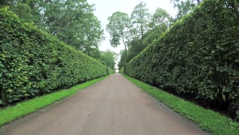 Alley-en-el-parque-en-Peterhof