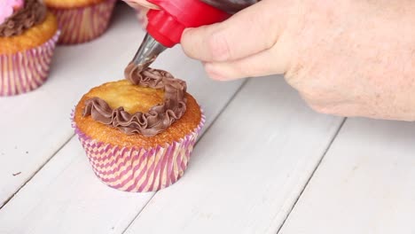 Decorating-an-Easter-Cupcake