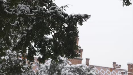 Universidad-de-Chernivtsi-(la-residencia-anterior-de-metropolitanos),-Ucrania.-invierno