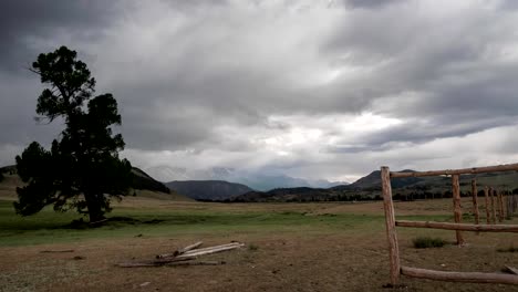 Lapso-de-tiempo.-Nubes-con-lluvia-cubren-las-montañas-nevadas-al-fondo.-Un-enorme-árbol-de-coníferas-está-temblando-en-el-viento,-una-cerca-del-pueblo-en-primer-plano.-Paisaje-de-montaña