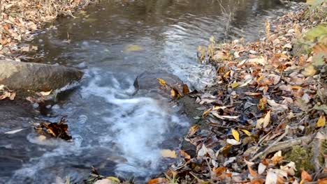 Forest-Bergbach-mit-kalten-Wasser-sprudelt.-Herbst