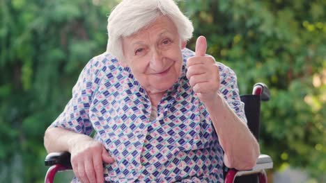 Portrait-of-an-elderly-woman.-The-elderly-person-in-the-nursing-home-and-the-green-of-the-trees-in-the-background.