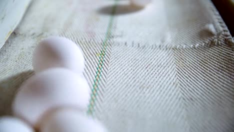 Eggs-moving-on-the-production-line.-Closeup