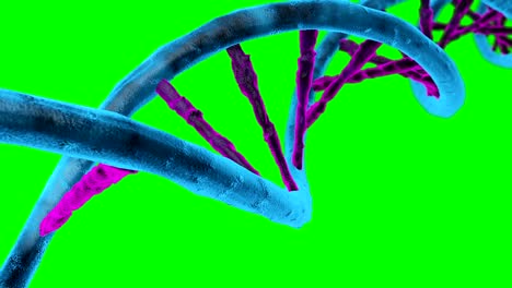 Animierte-DNA-Kette.-Rotation-DNA