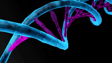 Animierte-DNA-Kette.-Rotation-DNA