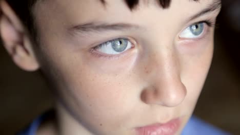 Child-portrait,-boy-looks-at-the-camera