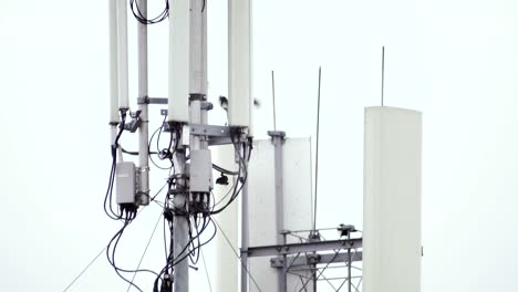 Telecommunication-antenna-in-the-background-of-a-cloudy-sky.-Birds-are-hovering-near-the-antenna.-Close-up