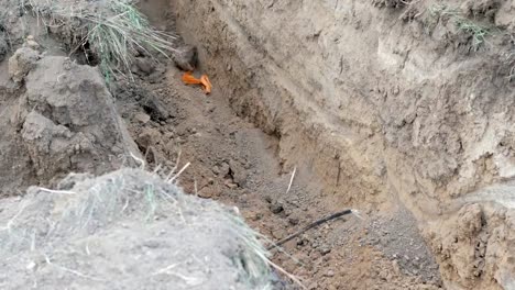 work-excavator-damaging-optical-cable