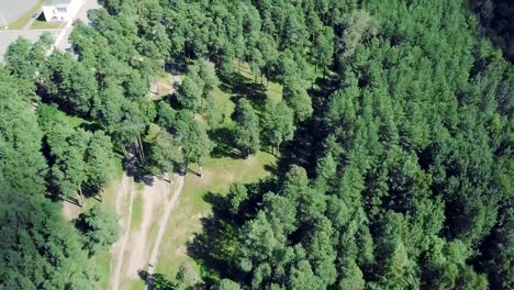 Top-view-of-the-path-through-the-trees.-Clip.-Top-view-of-the-beautiful-Park-with-tall-trees-in-summer