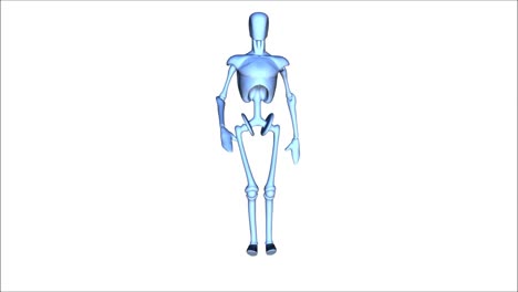 Animation-of-a-posing-Mannequin