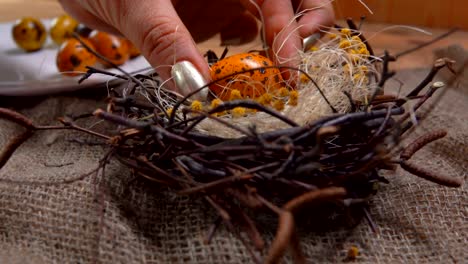 Yellow-colored-quail-eggs-are-laid-in-the-Easter-nest