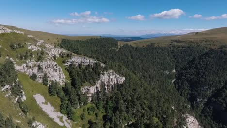 Aerial-view-of-the-mountain-slopes-overgrown-with-forest.