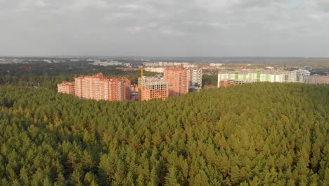 Bosque-de-pinos-en-las-afueras-de-la-ciudad.-Irpen.-Ucrania