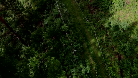 Visión-de-POV-teleférico-telesilla-en-bosque