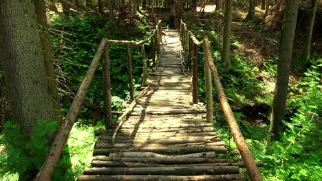 Wooden-bridge-over-the-cliff-in-the-forest.-4K.