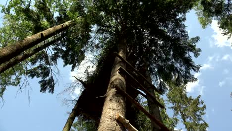 Military-observation-tower-for-in-the-forest.-4K.