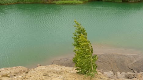 Mountain-lake,-strong-wind-makes-waves.