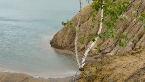 El-árbol-crece-sobre-el-acantilado-de-un-lago-de-montaña